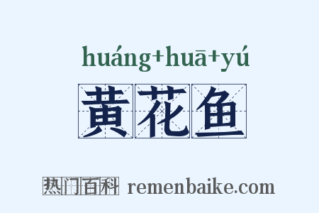 黄花鱼是什么意思的图片